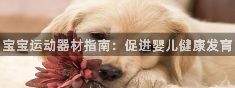 星欧娱乐挂机教程下载：宝宝运动器材指南：促进婴儿健康