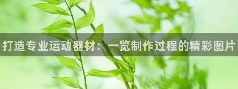星娱乐online张译：打造专业运动器材：一览制作过