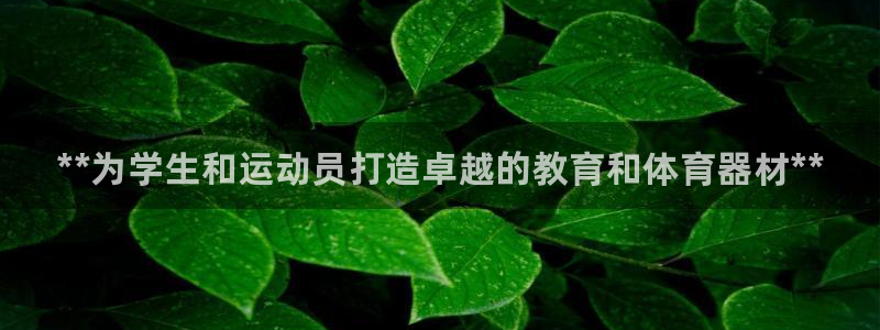 星欧娱乐公司地址：**为学生和运动员打造卓越的教育和