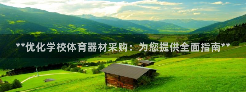星欧娱乐公司创始人背景故事：**优化学校体育器材采购