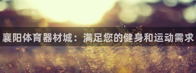星欧娱乐最建议买的三个产品有哪些：襄阳体育器材城：满