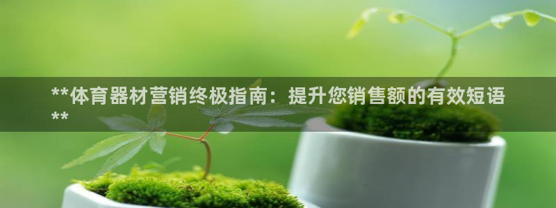 星欧娱乐下载最新版本更新内容：**体育器材营销终极指南：提升