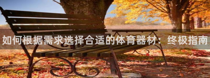 星乐娱乐官网：如何根据需求选择合适的体育器材：终极指