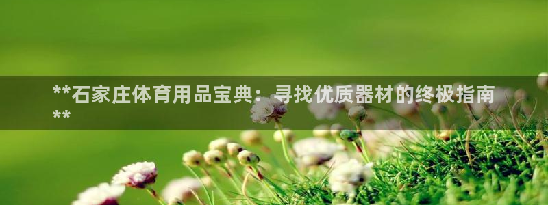 星欧娱乐最建议买的三个产品是什么呢：**石家庄体育用