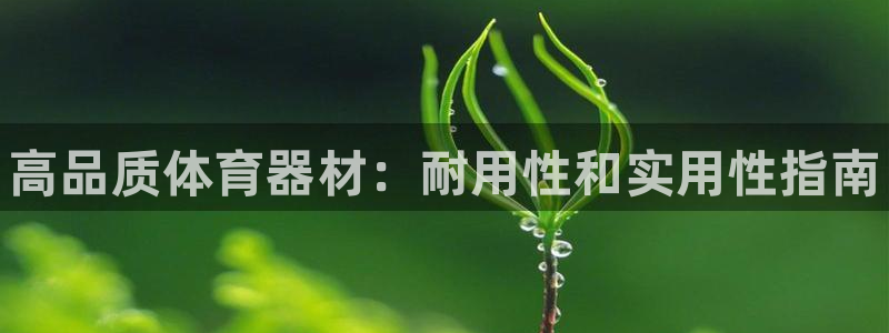 星欧娱乐属于什么档次的公司名称：高品质体育器材：耐用