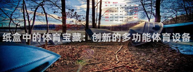 星欧娱乐的官方版本更新内容怎么删除：纸盒中的体育宝藏：创新的
