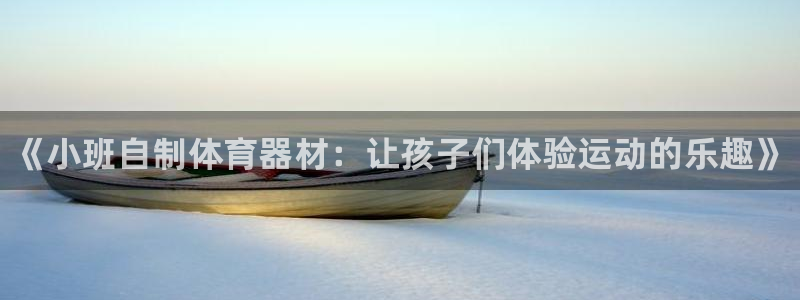 星欧娱乐公司创始人背景故事：《小班自制体育器材：让孩子们体验 