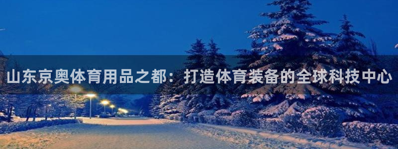 星欧娱乐扣款时间查询方法是什么意思：山东京奥体育用品