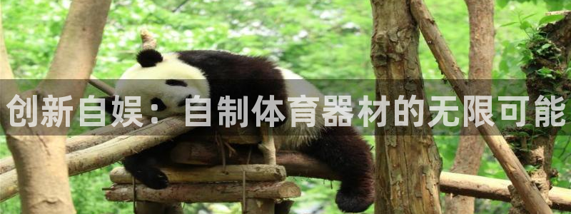 星欧娱乐挂机教程视频：创新自娱：自制体育器材的无限可能