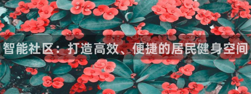 星奥娱乐旗下艺人：智能社区：打造高效、便捷的居民健身空间