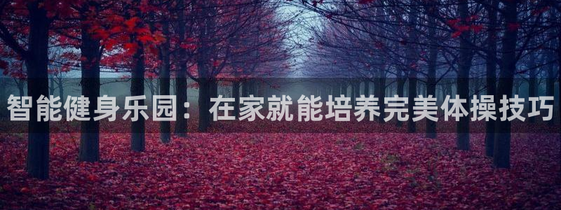 星欧娱乐退款流程详解：智能健身乐园：在家就能培养完美体操技巧