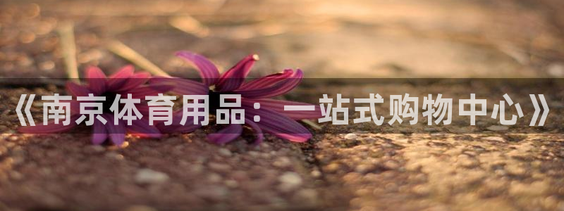 星欧娱乐平台过7O777：《南京体育用品：一站式购物中心》