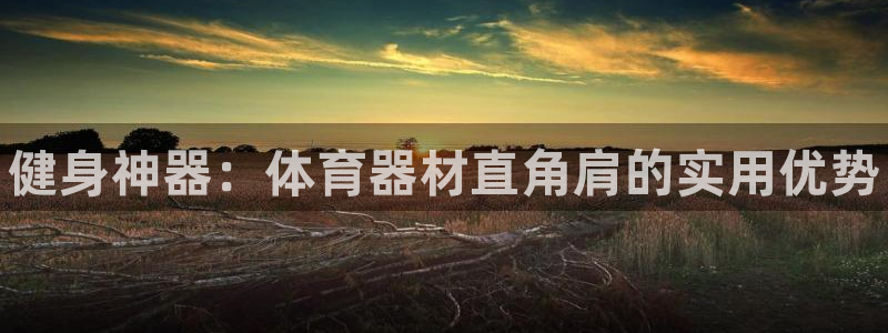 星欧娱乐联客服联系方式：健身神器：体育器材直角肩的实用优势 