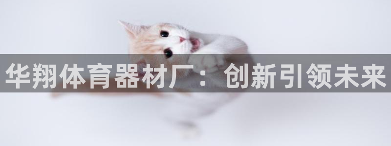 星欧娱乐的创始人背景故事简介：华翔体育器材厂：创新引领未来 
