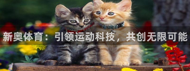 星欧娱乐官网下载