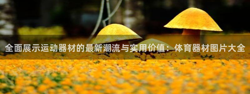 星欧娱乐伐711.112扣费的原因及处理措施：全面展