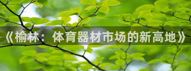 星娱乐是谁的公司：《榆林：体育器材市场的新高地》