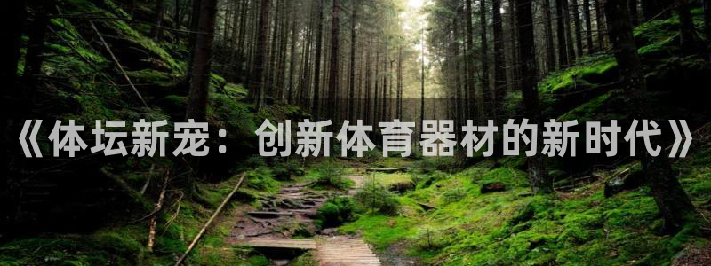 星欧娱乐平台怎么样知乎赚钱吗：《体坛新宠：创新体育器