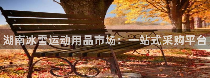 星欧娱乐伐711.112扣费的原因及处理措施：湖南冰雪运动用 