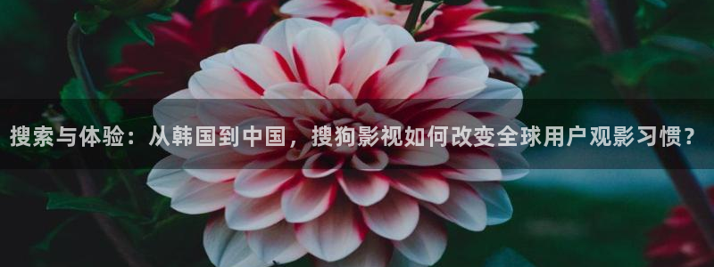 伊人影院