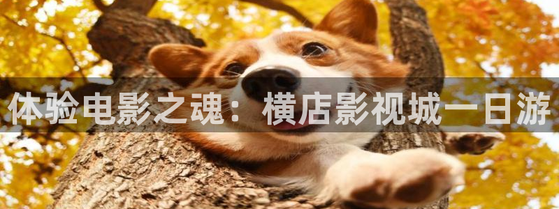 丁香伊人影院