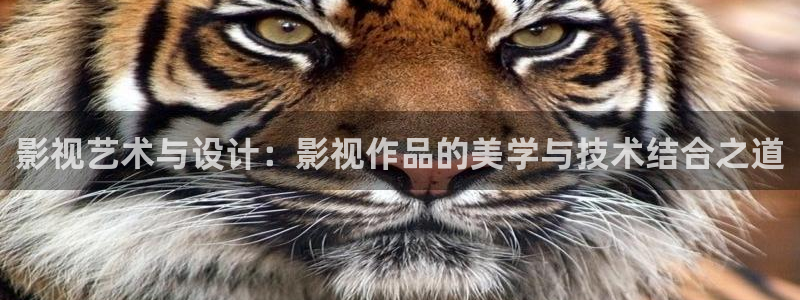 伊人一本影院