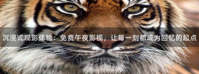 久久伊人小视频