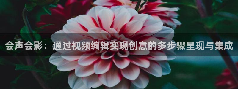 久久亚洲伊人99精品影院